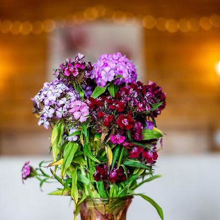 Blossom Cabin - Little Log Cabin In Wales ニュータウン エクステリア 写真