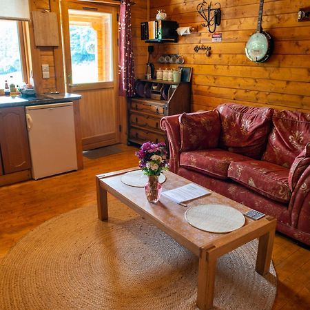 Blossom Cabin - Little Log Cabin In Wales ニュータウン エクステリア 写真