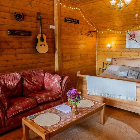 Blossom Cabin - Little Log Cabin In Wales ニュータウン エクステリア 写真