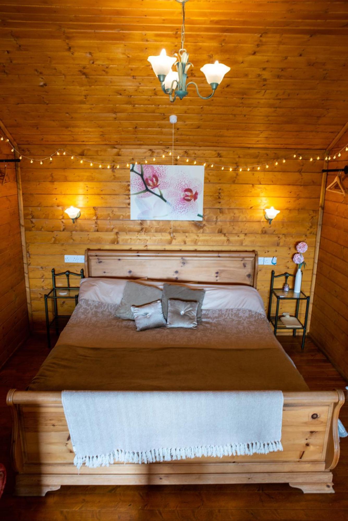 Blossom Cabin - Little Log Cabin In Wales ニュータウン エクステリア 写真