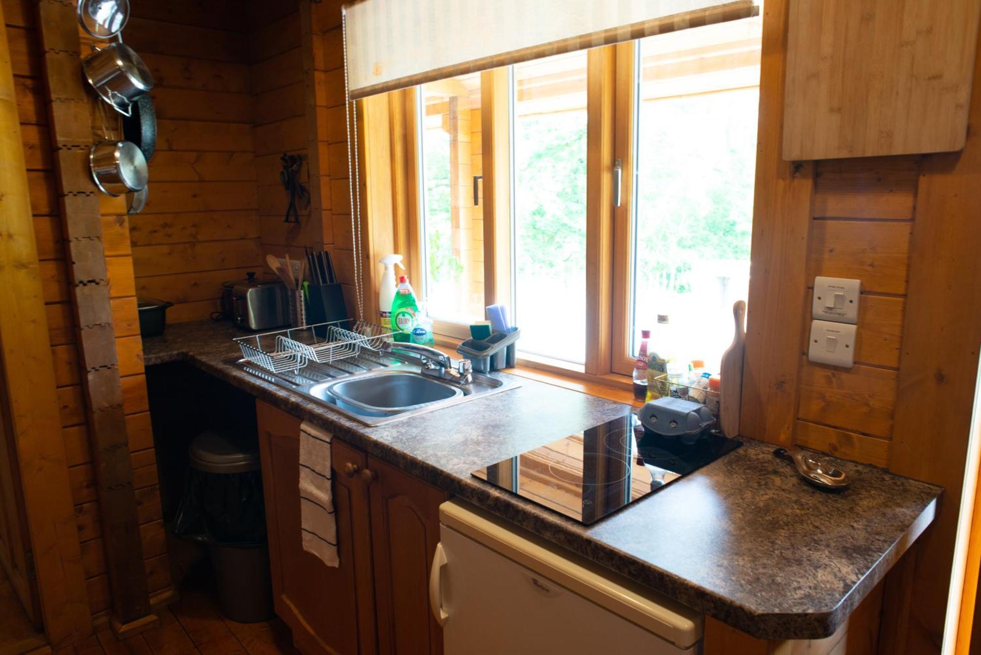 Blossom Cabin - Little Log Cabin In Wales ニュータウン エクステリア 写真