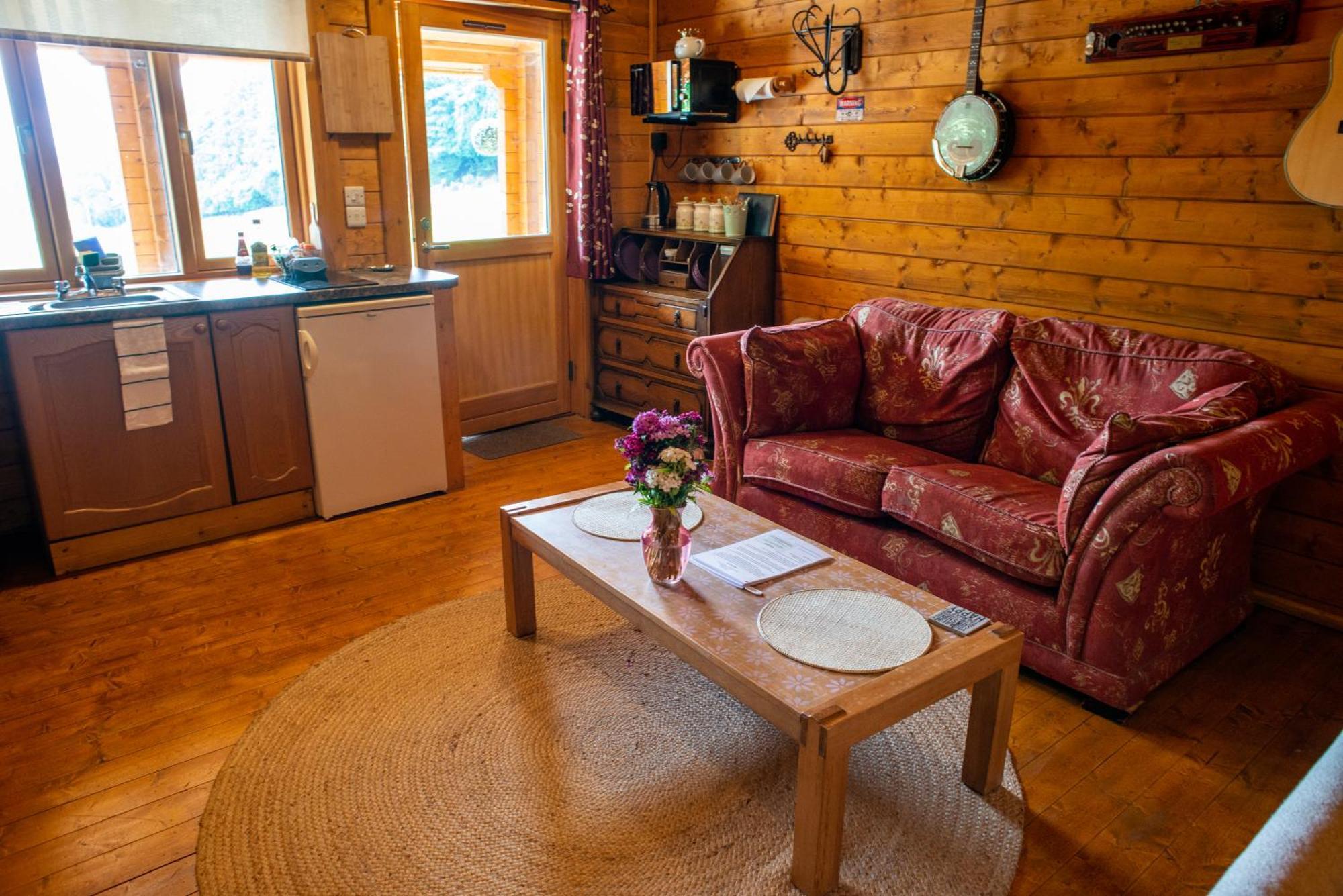 Blossom Cabin - Little Log Cabin In Wales ニュータウン エクステリア 写真