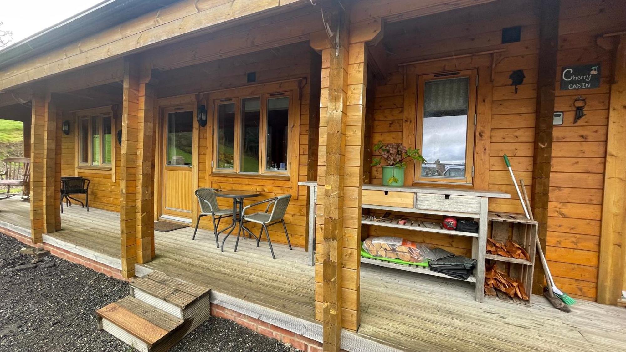 Blossom Cabin - Little Log Cabin In Wales ニュータウン エクステリア 写真
