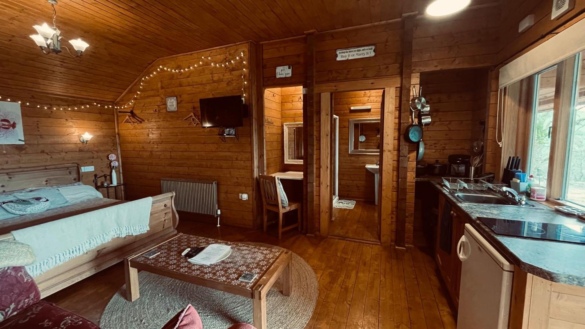 Blossom Cabin - Little Log Cabin In Wales ニュータウン エクステリア 写真