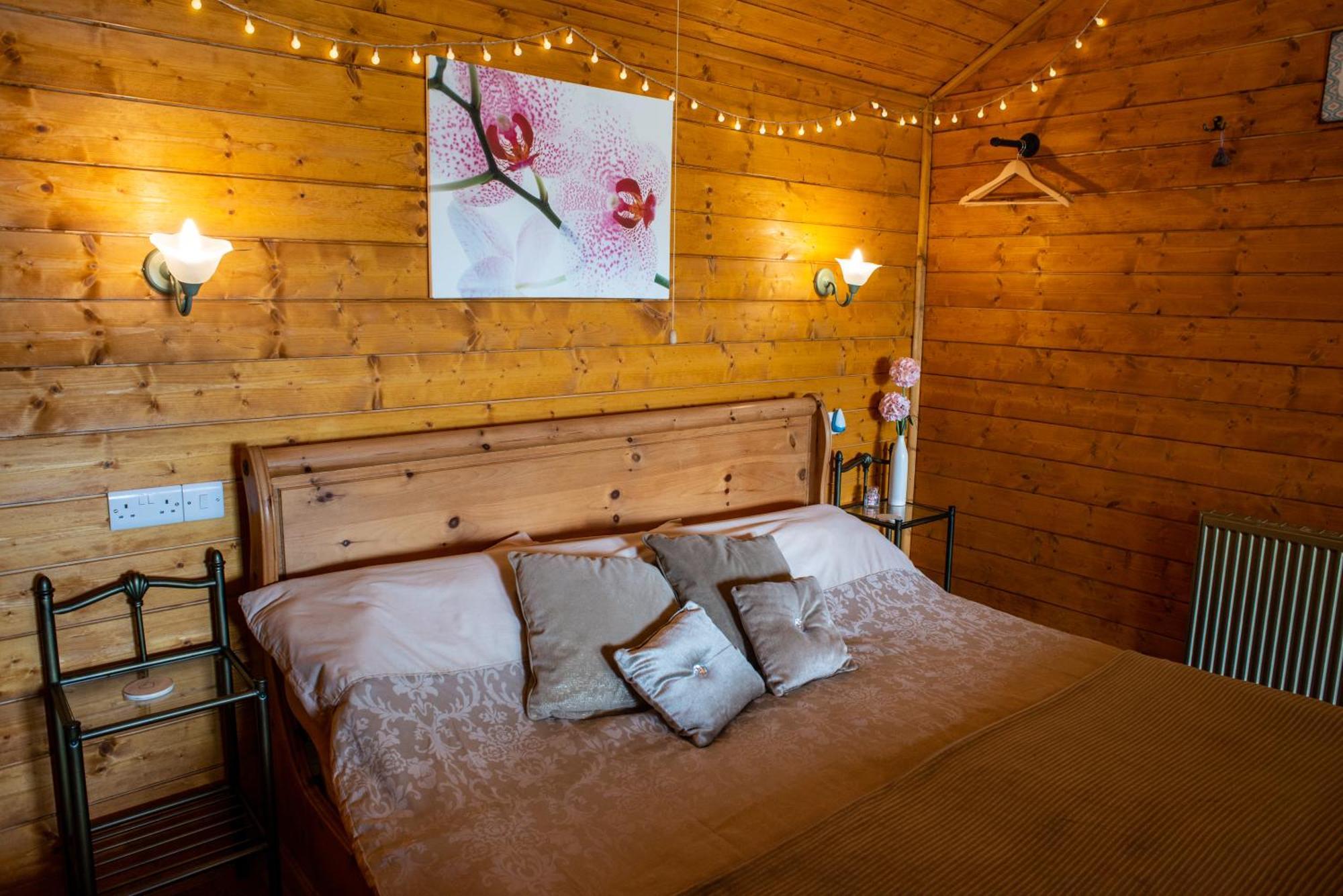 Blossom Cabin - Little Log Cabin In Wales ニュータウン エクステリア 写真