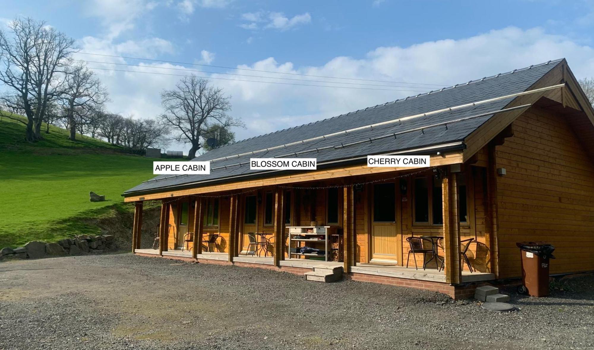 Blossom Cabin - Little Log Cabin In Wales ニュータウン エクステリア 写真
